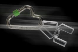 Informal Type Services ℠